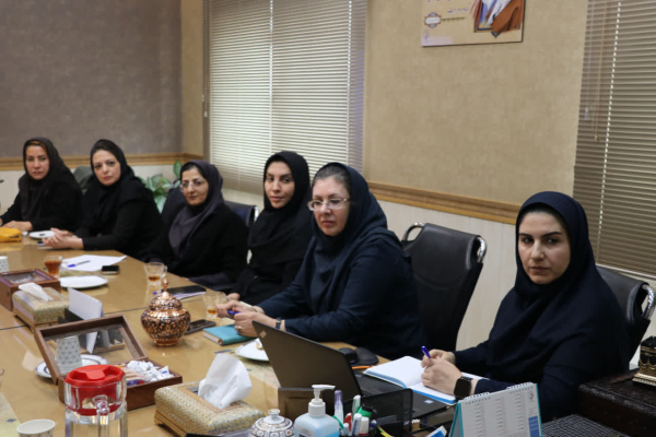 نشست بین بخشی در راستای حل چالش های برنامه غربالگری شنوایی نوزادان و شیرخواران