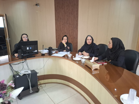 جلسه تدوین بسته خدمتی پزشکان متخصص در سطح 2 و 3 برنامه نظام ارجاع