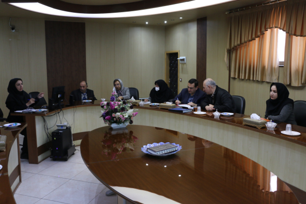 برگزاری سی و سومین جلسه کمیته درمان و مراقبت جوانی