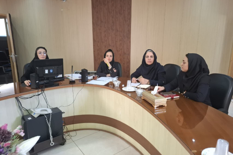 جلسه تدوین بسته خدمتی پزشکان متخصص در سطح 2 و 3 برنامه نظام ارجاع