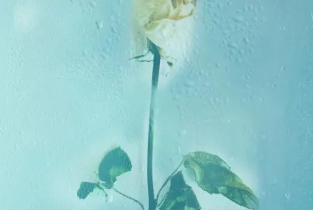 دوباره زندگی کن: یک فرزند بیشتر، برای ایران جوان / جوانی جمعیت