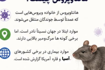هانتا ویروس 🔹️ویروسی نادر اما خطرناک