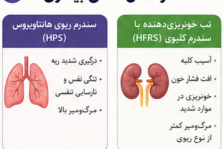 هانتا ویروس 🔹️ویروسی نادر اما خطرناک